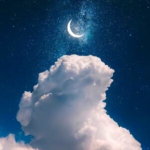 Meet your Posher, Ava